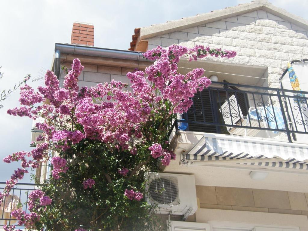 Apartments Mila Bol Cameră foto